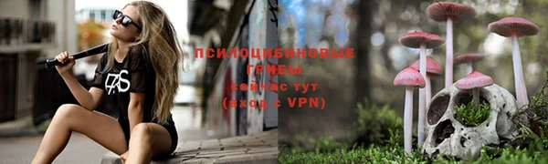 ALPHA PVP Верея